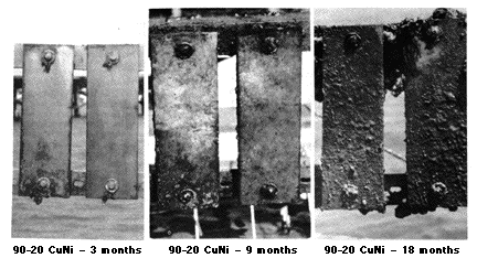 Progression of biofouling from 3 to 18 months on Alloy C70600 in seawater.