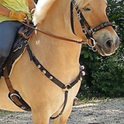 Breast collar for saddle horses