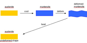 Workflow graph of the one-way shape memory effect