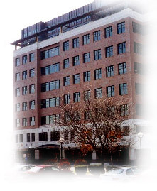 The Ashley Mews office complex